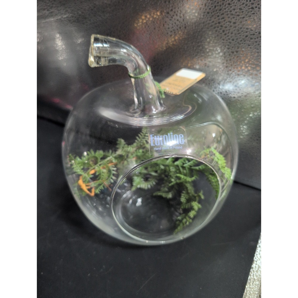 NWT Euroline Apple Terrarium Made In Poland Glass